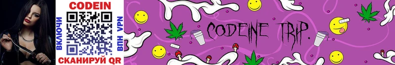 Кодеиновый сироп Lean Purple Drank купить наркотик Пошехонье