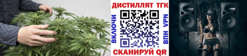 где купить наркотик Пошехонье Дистиллят ТГК концентрат