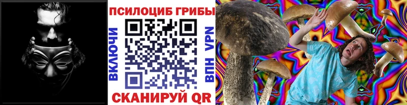 Псилоцибиновые грибы GOLDEN TEACHER  Пошехонье 