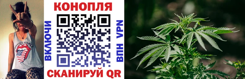 МАРИХУАНА план Пошехонье